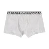 Dolce & Gabbana Waist Logo Boxer Briefs