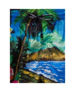Dolce & Gabbana Short Multicolor Swim Trunks With Hawaiian Print And Branded Drawstring In Light Polyester Man -Stylish Men-Dolce & Gabbana beedac8999f6d5220a9eb3c9ea09a419